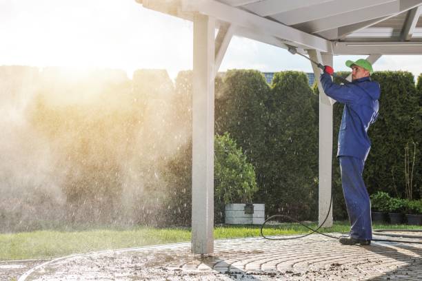 Best Driveway Pressure Washing  in Pharr, TX