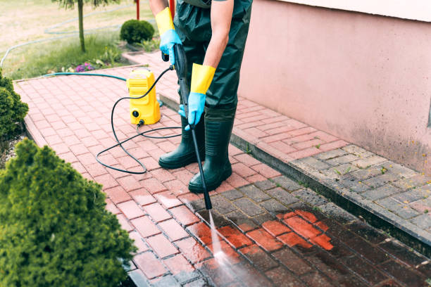 Boat and Dock Cleaning in Pharr, TX